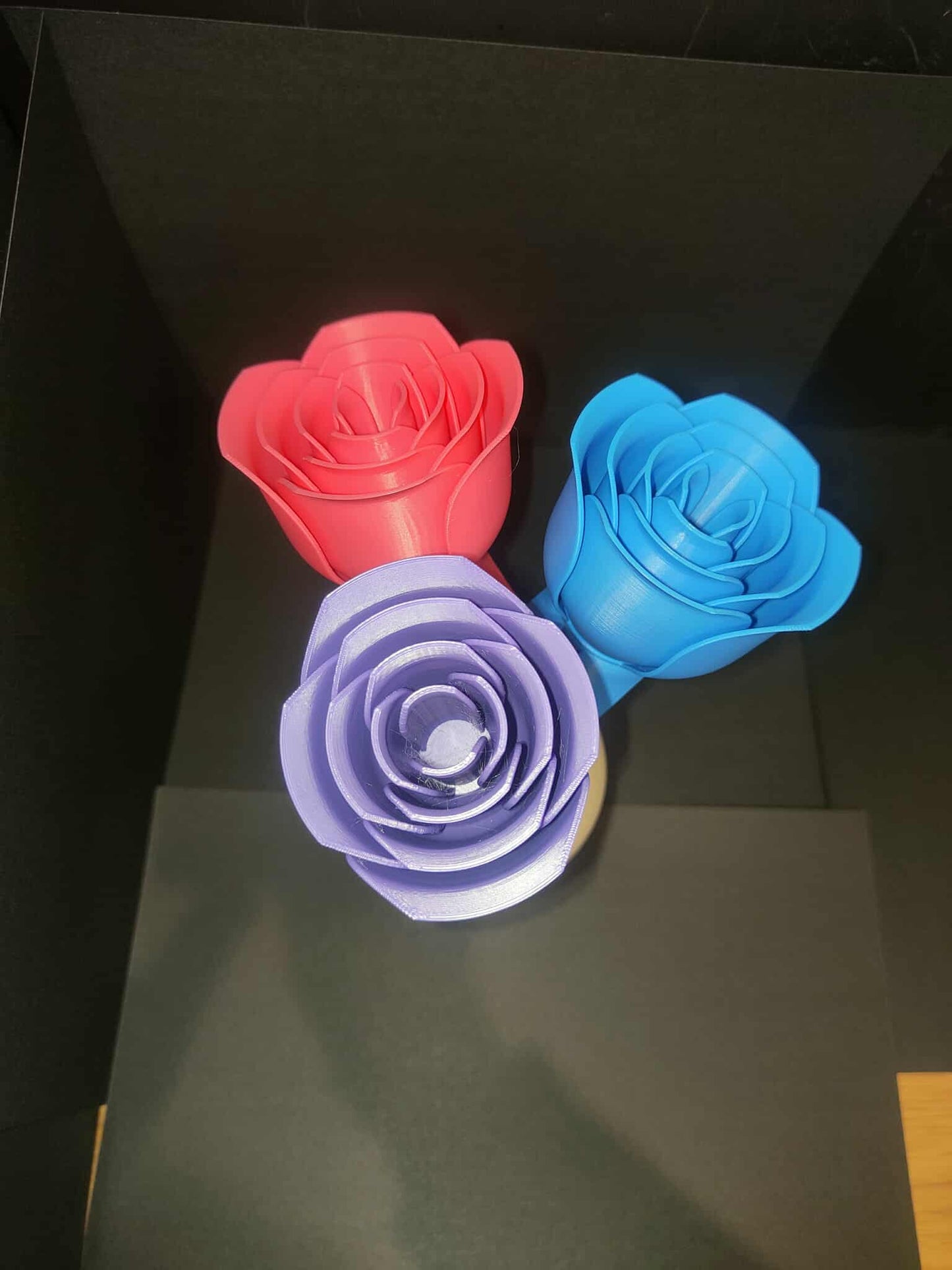 Vase and Roses