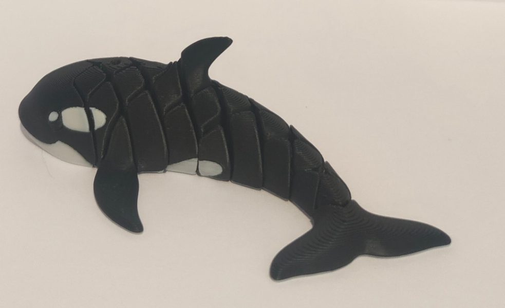 Flexi Orca Whale "Willy"