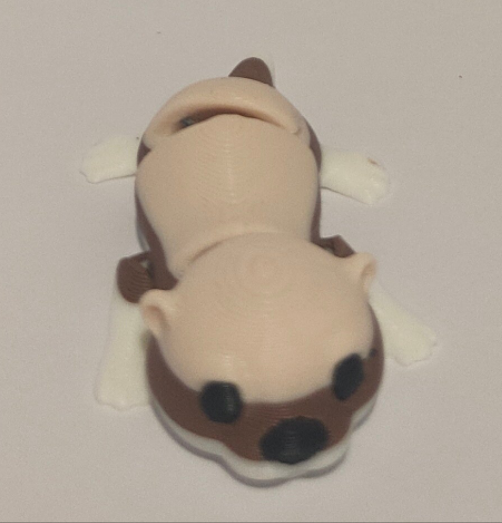 Flexi Otter "Oddy"